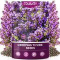 20000+pcs Creeping Thyme Seeds for Planting, Perennial Ground Cover Plants Heirloom Flowers Seeds Fragrant Herb Seeds for Lawns & Paths Garden