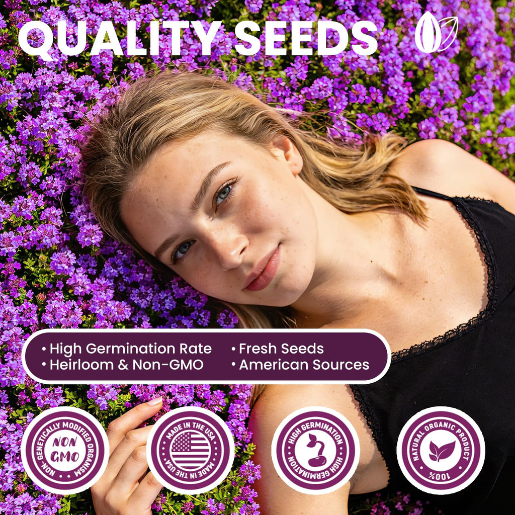 20000+pcs Creeping Thyme Seeds for Planting, Perennial Ground Cover Plants Heirloom Flowers Seeds Fragrant Herb Seeds for Lawns & Paths Garden