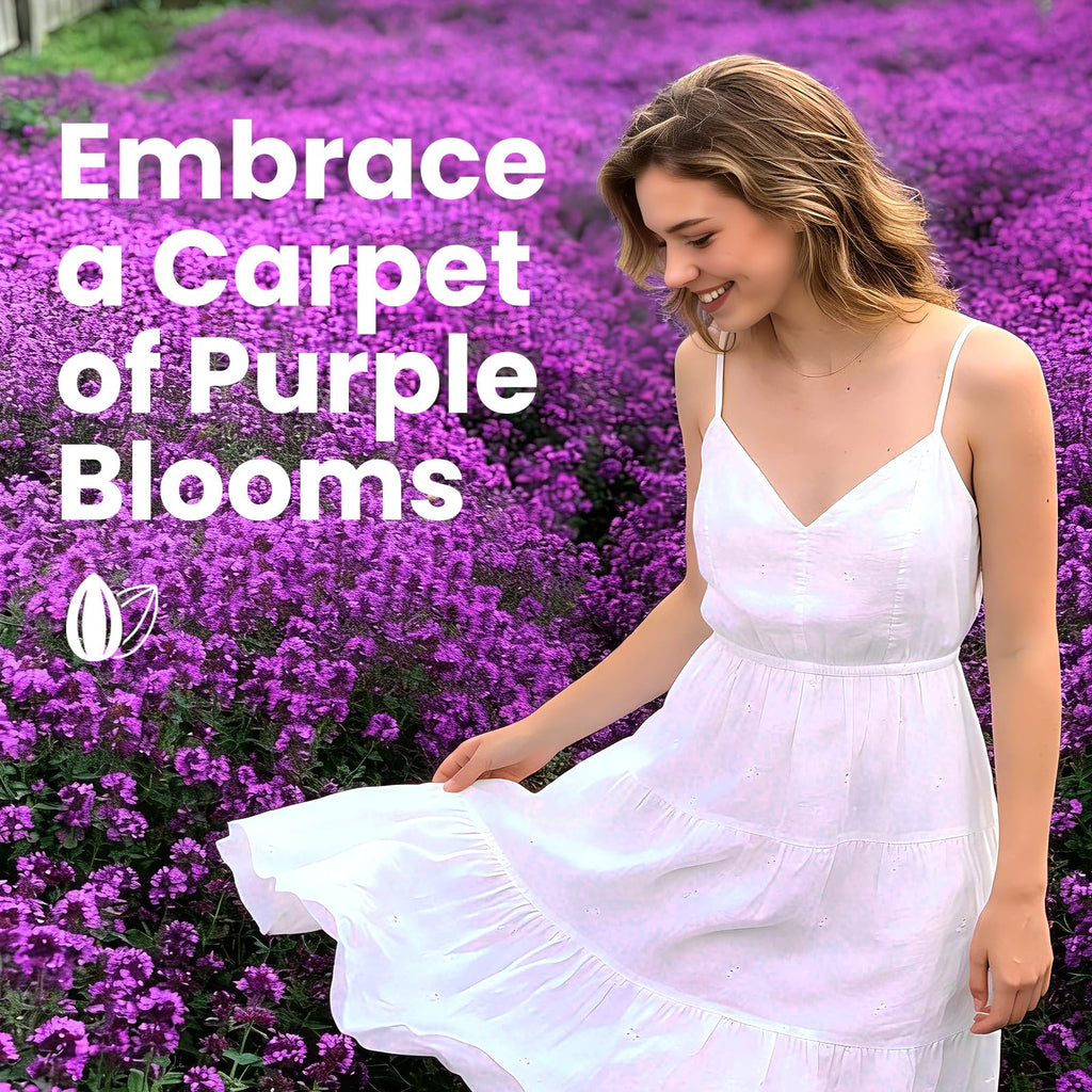 20000+pcs Creeping Thyme Seeds for Planting, Perennial Ground Cover Plants Heirloom Flowers Seeds Fragrant Herb Seeds for Lawns & Paths Garden